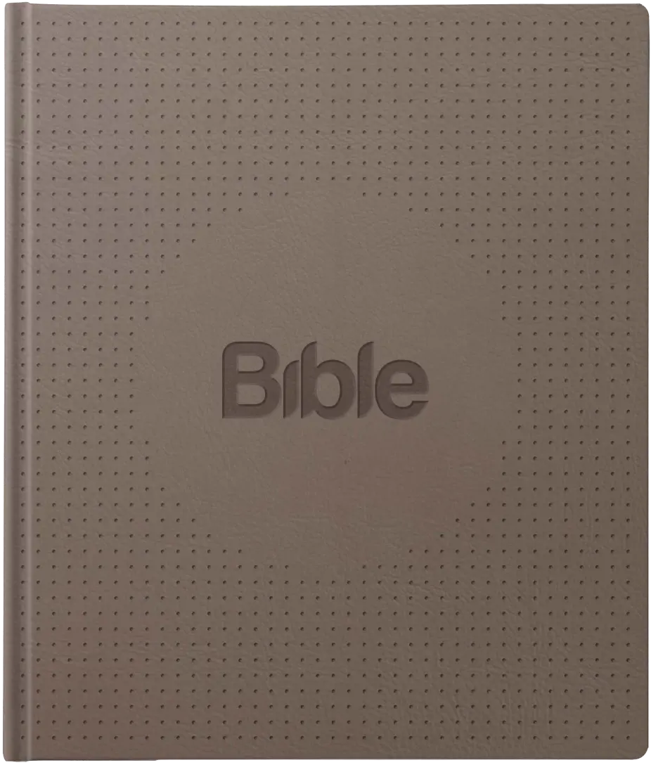 Bible21